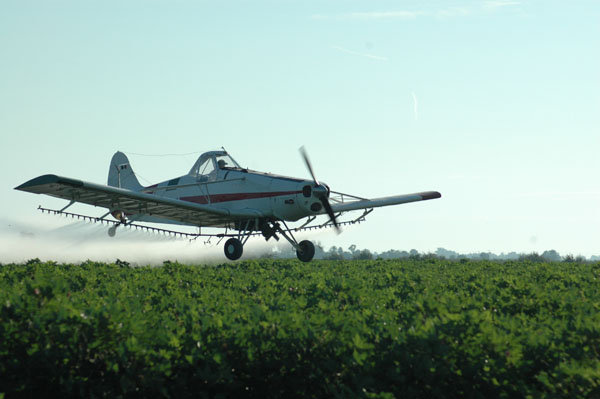 avion en vuelo